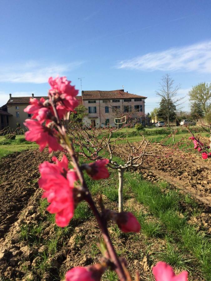 Fattoria Del Soul Hotel Bosco Marengo Zewnętrze zdjęcie